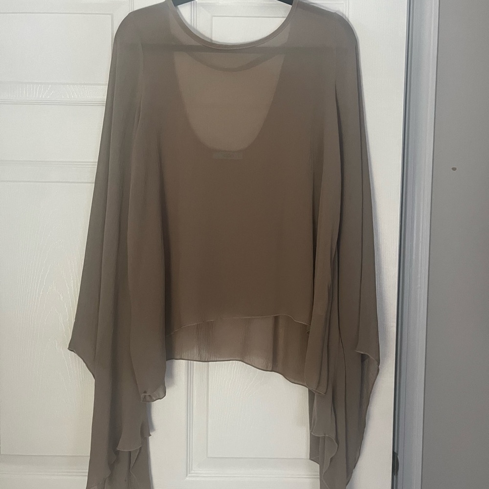 Sheer Tan Blouse with Flowing Sleeves